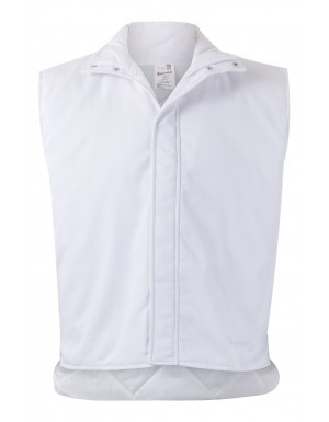Gilets > Cold Environment Vest - With lining
